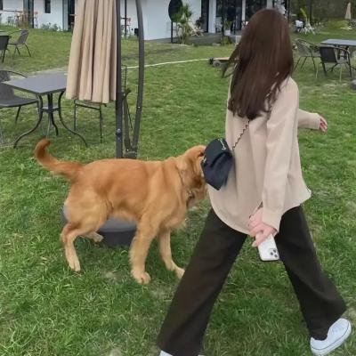 虎尾